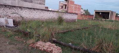 Residential Plot