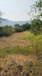 Image of 11000 Sq.ft Residential Plot / Land for sale in Bhor, Pune for Rs. 1895000