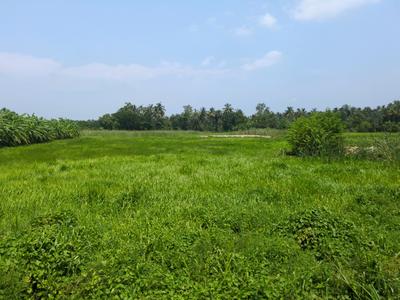 Residential Plot