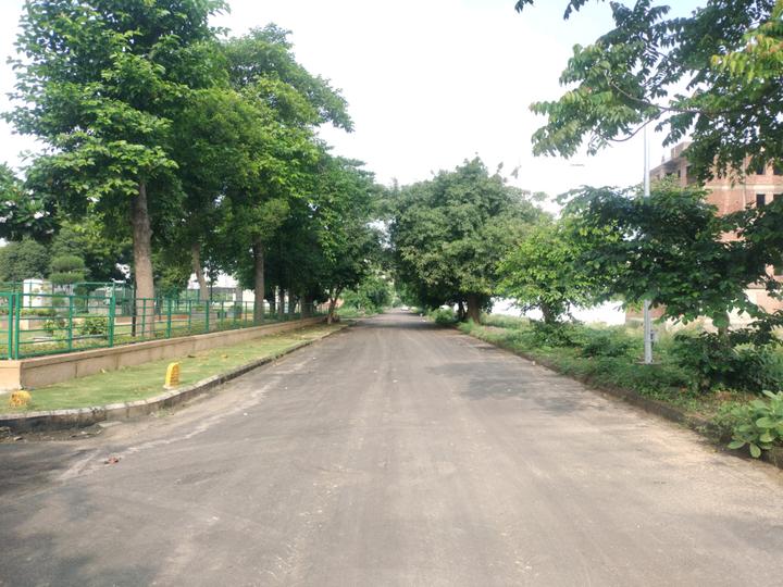 Sector 84 Main Image 1