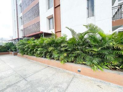 Image of 880 Sq.ft 3 BHK Apartment / Flat for sale in Tathawade, Pune for Rs. 11000000