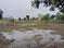 Keota, Bandel Plot View 2