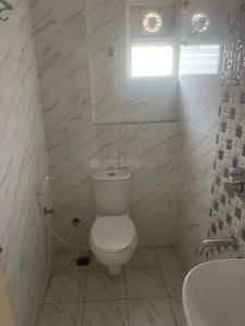 Bathroom Image of 985 Sq.ft 3 BHK Apartment / Flat for rent in Novus Florence Village Phase 2, Pedagantyada Visakhapatnam for Rs. 16000