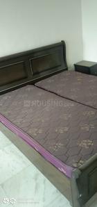Bedroom Image of 2200 Sq.ft 3 BHK Apartment / Flat for rent in Barewal Awana Ludhiana for Rs. 30000