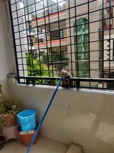 Balcony Image of 1640 Sq.ft 3 BHK Apartment / Flat for sale in Kondapur Hyderabad for Rs. 14500000