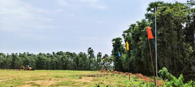 Koduru Plot View 2