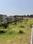 Brickland Platinum Plot View 2