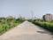 Amolik Aster Woods Main Image 1