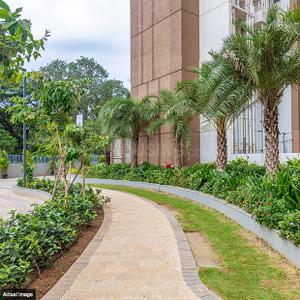 Image of 1575 Sq.ft 3 BHK Apartment / Flat for sale in Runwal Forests, Kanjurmarg West, Mumbai for Rs. 29400000