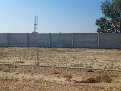 Varinda Orchid Plot View 2