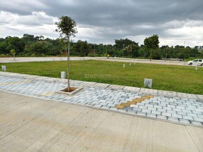 Yelwala Plot View 2