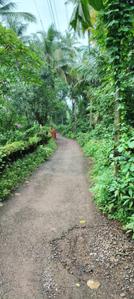 Image of 3550 Sq.ft Residential Plot / Land for sale in Assonora, Goa for Rs. 71000000