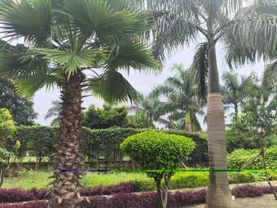 Image of 18144 Sq.ft 2 BHK Farm House for sale in DPL Flora Farms, Nagli Bahrampur, Noida for Rs. 18000000