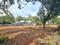 Kakkanad Plot View 2