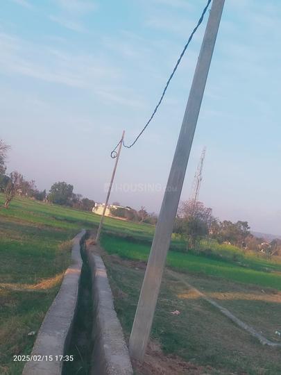 Muthi Main Image 1