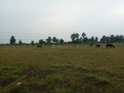 Lake view city Plot View 2