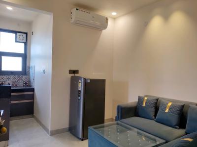 Living Room Image of 800 Sq.ft 1 BHK Builder Floor for rent in Sector 52 Gurgaon for Rs. 30000