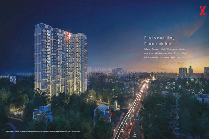 Merlin X Main Image 1