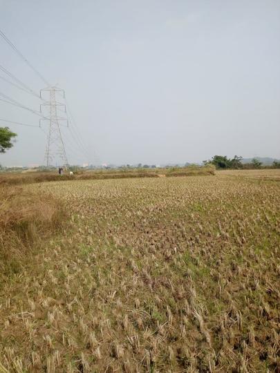 Niladri Enclave Main Image 1