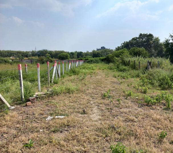 Royal city Main Image 1