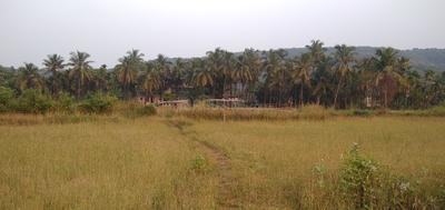 Image of 40000 Sq.ft Residential Plot / Land for sale in Khandala, Lonavala for Rs. 40000000