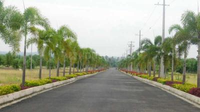 Image of 175 Sq.ft Residential Plot / Land for sale in Bhogapuram, Visakhapatnam for Rs. 4375000