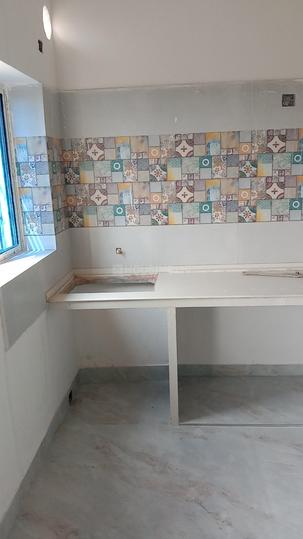 Star Petal Main Image 1