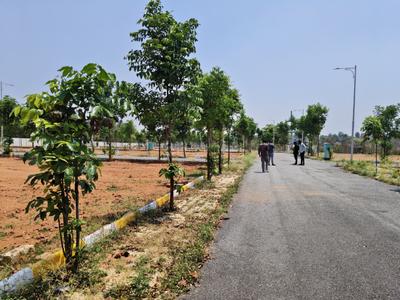 Residential Plot