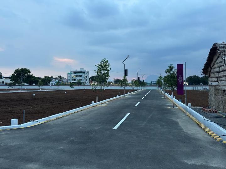 Dream Mass Grand Main Image 1