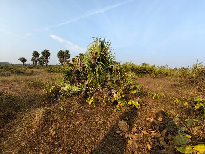 Amalapada Main Image 1