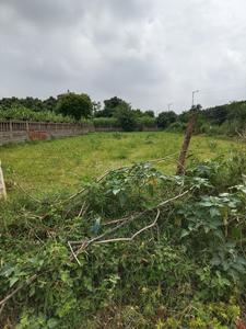 Image of 260 Sq.ft Residential Plot / Land for sale in MU II, Greater Noida for Rs. 19500005