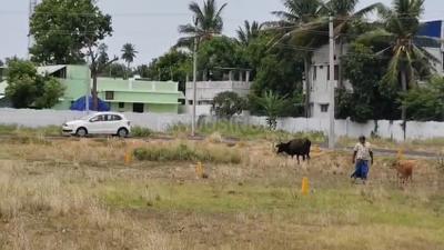Image of 1200 Sq.ft Residential Plot / Land for sale in Thalakkudi, Tiruchirappalli for Rs. 3118000