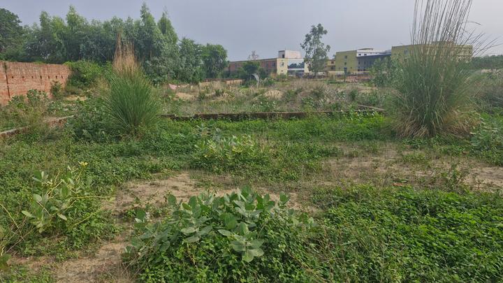 Ashapur Village Main Image 1