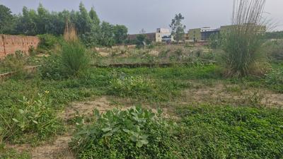 Image of 2250 Sq.ft Residential Plot / Land for sale in Ashapur Village, Ayodhya for Rs. 12500000