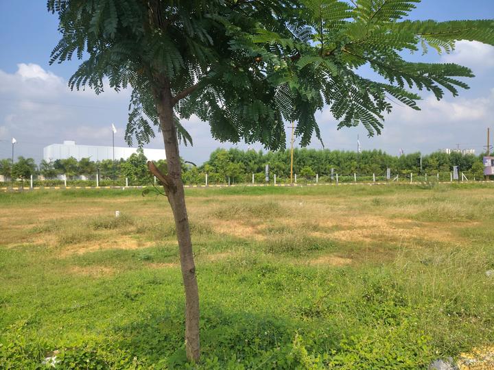 Thirumazhisai Main Image 1