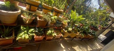 Balcony Image of 1800 Sq.ft 3 BHK Apartment / Flat for rent in Sanjaynagar Bengaluru for Rs. 50000