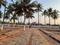 Ajmal Flora Valley Phase II Main Image 1
