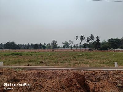 Morampudi Plot View 2