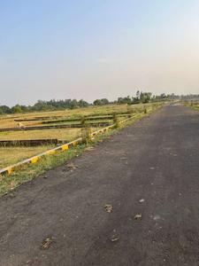 Barel Plot View 1