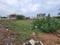 Bhatagaon Main Image 1