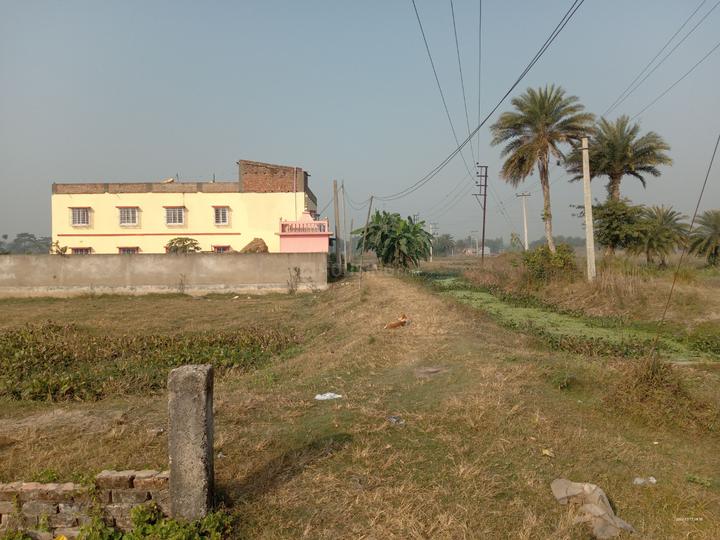 Residential 1440 Sqft Plot for sale at Subhasgram, Kolkata Property ID 11400739