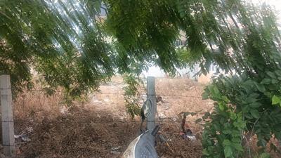 Sir M Vishweshwaraiah Layout 4th Block Plot View 2