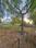 Greencity Main Image 1