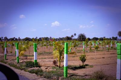 Image of 9600 Sq.ft Residential Plot / Land for sale in Chengalpattu, Chennai for Rs. 2400000