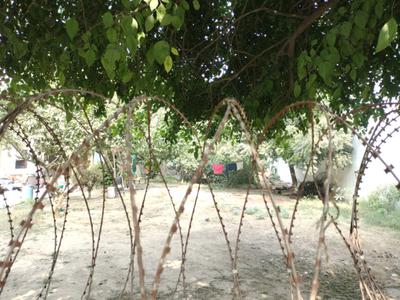 Azad Colony Plot View 1
