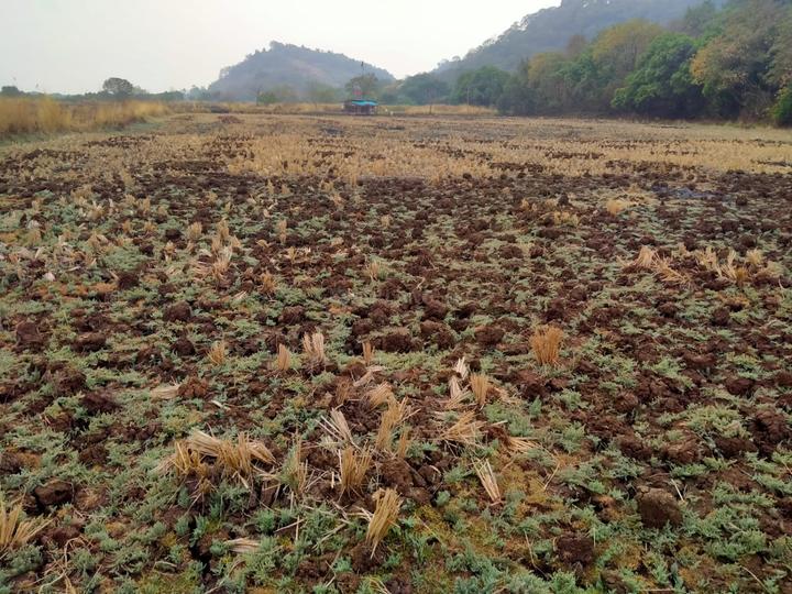 Chirner Main Image 1