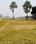 Orchard Green Main Image 1