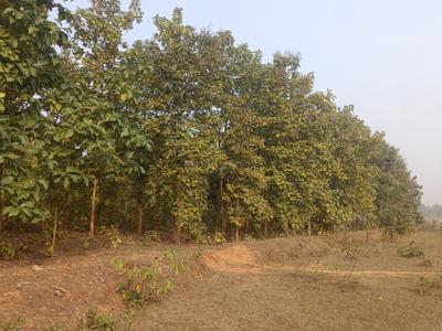 Image of 90000 Sq.ft 12 BHK Farm House for sale in R P Nagar 1, Korba for Rs. 1200000