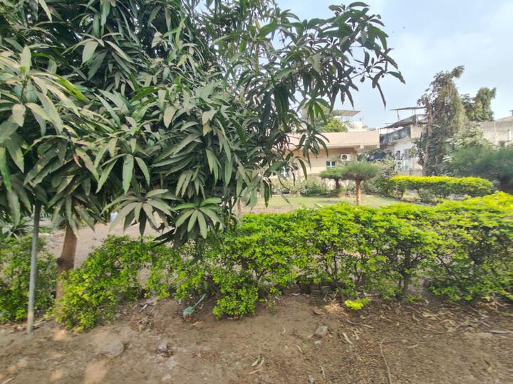 Green Field Main Image 1