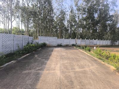 Image of 1350 Sq.ft Residential Plot / Land for sale in Hoskote, Bengaluru for Rs. 3780100